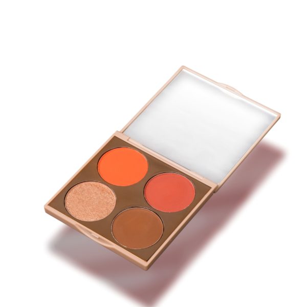 Zikel 4 in 1 Blush Pallet