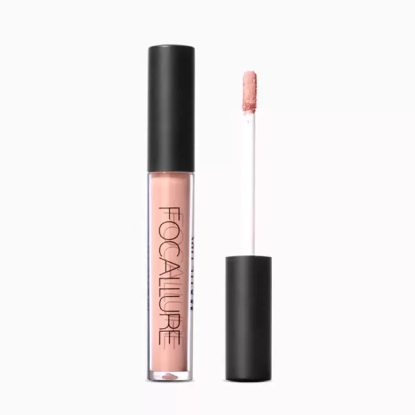 Focallure Ultra Chic Lips - 42 Nude Pink 6g